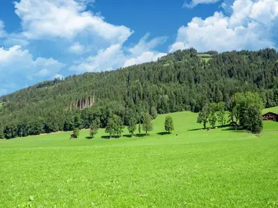Naturlandschaft in der Nähe der Ferienwohnung