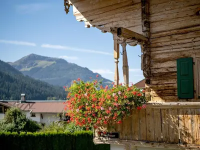Ein allgemeiner Bergblick oder ein Berglick von der Ferienwohnung aus