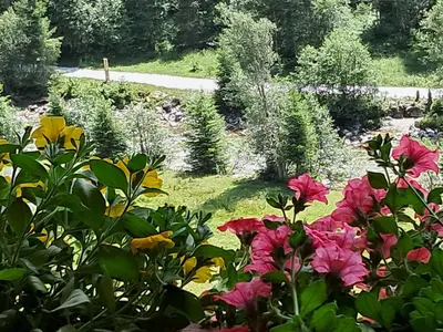Ein Garten an der Unterkunft Heimat Apartments - Zillertal
