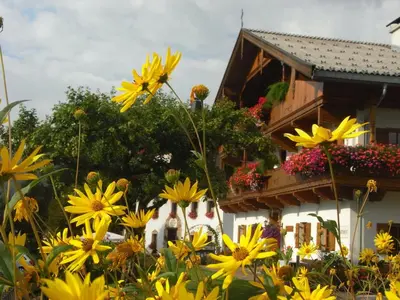 Ein Garten an der Unterkunft Hofbauer
