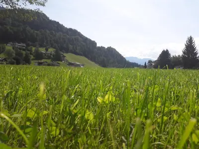 Naturlandschaft in der Nähe des Bauernhofs