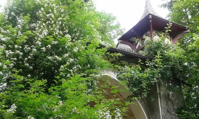Ein Garten an der Unterkunft Hofbauer
