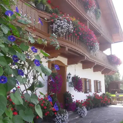 Hofbauer