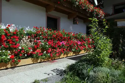 Ein Garten an der Unterkunft Migglwieshof