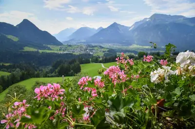 Naturlandschaft in der Nähe der Ferienwohnung