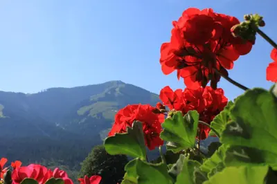 Ein allgemeiner Bergblick oder ein Berglick von des Privatzimmers aus