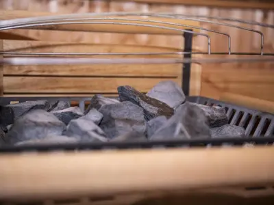 Tiere im Ferienhaus oder in der Nähe