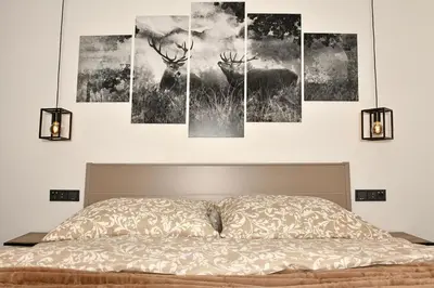 Ein Bett oder Betten in einem Zimmer der Unterkunft Appartement Edelschwarz