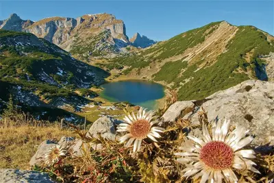 Naturlandschaft in der Nähe der Ferienwohnung