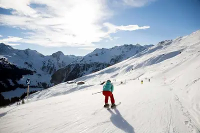 Topp Rossmoos im Winter