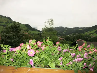 Ein allgemeiner Bergblick oder ein Berglick von der Ferienwohnung aus