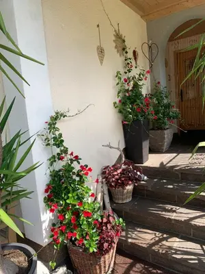 Ein Garten an der Unterkunft Appartement Brandner