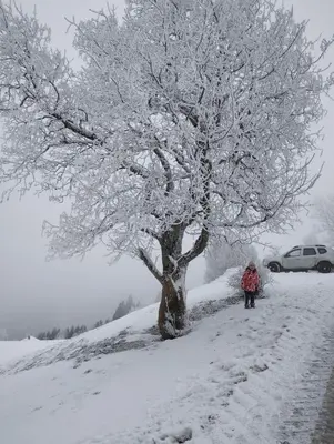 Ferienwohnung Bonny im Winter