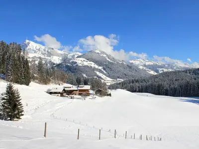 Wald am See im Winter