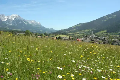 Naturlandschaft in der Nähe der Ferienwohnung