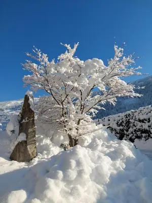 Apart Dahuam im Winter