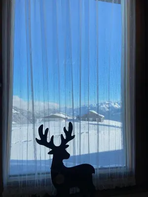 Ein allgemeiner Bergblick oder ein Berglick von der Ferienwohnung aus