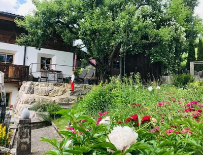 Ein Garten an der Unterkunft Haus Ehammer
