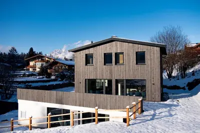 Waldnest im Winter