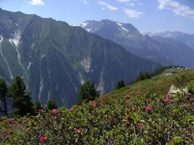 Naturlandschaft in der Nähe der Ferienwohnung