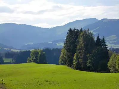 Naturlandschaft in der Nähe der Ferienwohnung