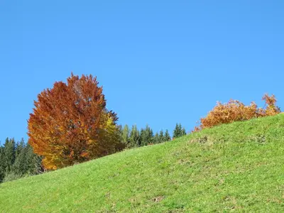 Naturlandschaft in der Nähe des Bauernhofs