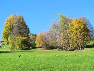 Naturlandschaft in der Nähe des Bauernhofs