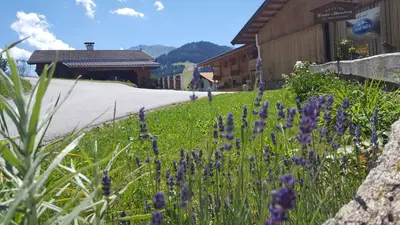 Ein allgemeiner Bergblick oder ein Berglick von der Pension aus