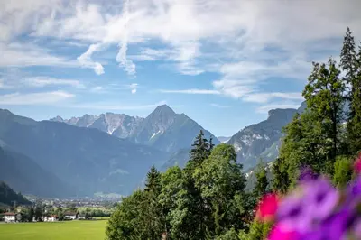 Naturlandschaft in der Nähe der Ferienwohnung