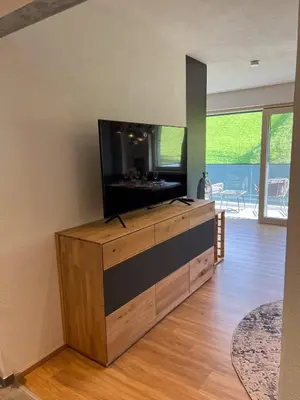 TV/Unterhaltungsangebot in der Unterkunft GreenView Appartement