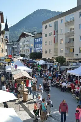 Gäste, die in der Unterkunft Appartement zur Gemütlichkeit übernachten