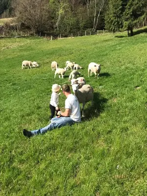 Tiere in der Ferienwohnung oder in der Nähe