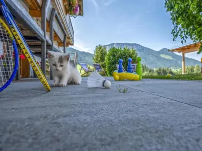 Ein allgemeiner Bergblick oder ein Berglick von der Ferienwohnung aus