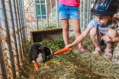 Kinder, die in der Unterkunft Ferienhof Pfefferbauer übernachten