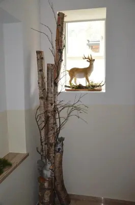 Tiere in der Ferienwohnung oder in der Nähe