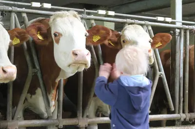 Tiere im Ferienhaus oder in der Nähe