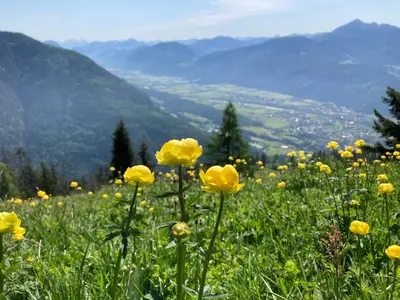 Naturlandschaft in der Nähe der Ferienwohnung