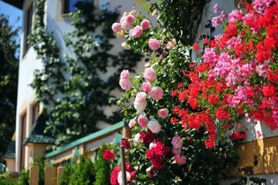 Ein Garten an der Unterkunft Ferienwohnung Dobner Schlössl