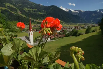 Ein allgemeiner Bergblick oder ein Berglick von der Ferienwohnung aus