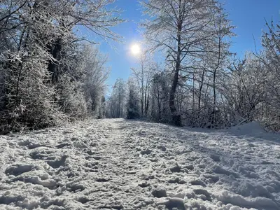 Alpenapartment für Familien und Gruppen zentrale Lage im Winter