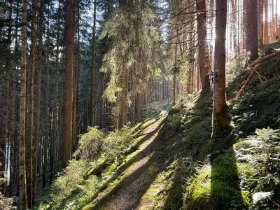 Naturlandschaft in der Nähe der Ferienwohnung