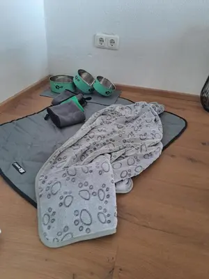 Grundriss der Unterkunft Haus Kexel