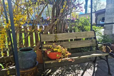 Ein Garten an der Unterkunft Kapellenblick! geräumiges Apartment