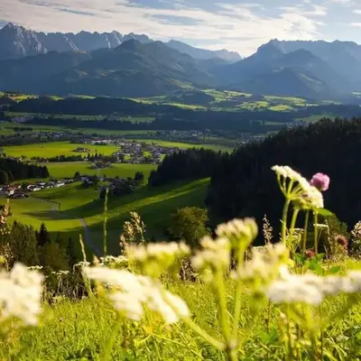 Ferienwohnung Bergblick