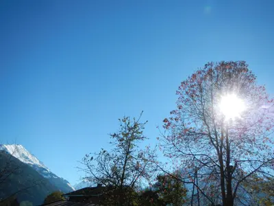 Naturlandschaft in der Nähe des Ferienhauses
