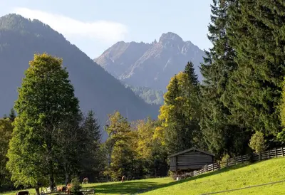 Naturlandschaft in der Nähe des Bauernhofs