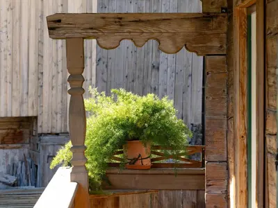 Ein Garten an der Unterkunft Appartement Hintermitterast