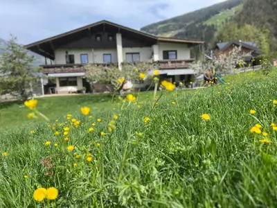 Ein allgemeiner Bergblick oder ein Berglick von der Ferienwohnung aus