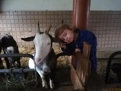 Tiere in der Ferienwohnung oder in der Nähe