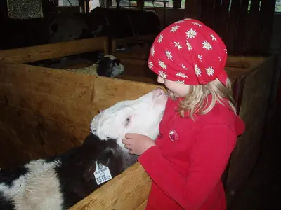 Tiere in der Ferienwohnung oder in der Nähe